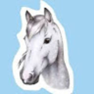 Meet your Posher, Carson